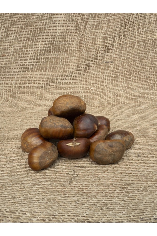 Menzil Kuruyemiş